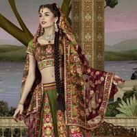 Giselli Monteiro Latest Photoshoot In Indian Wedding Clothes | Picture 46825